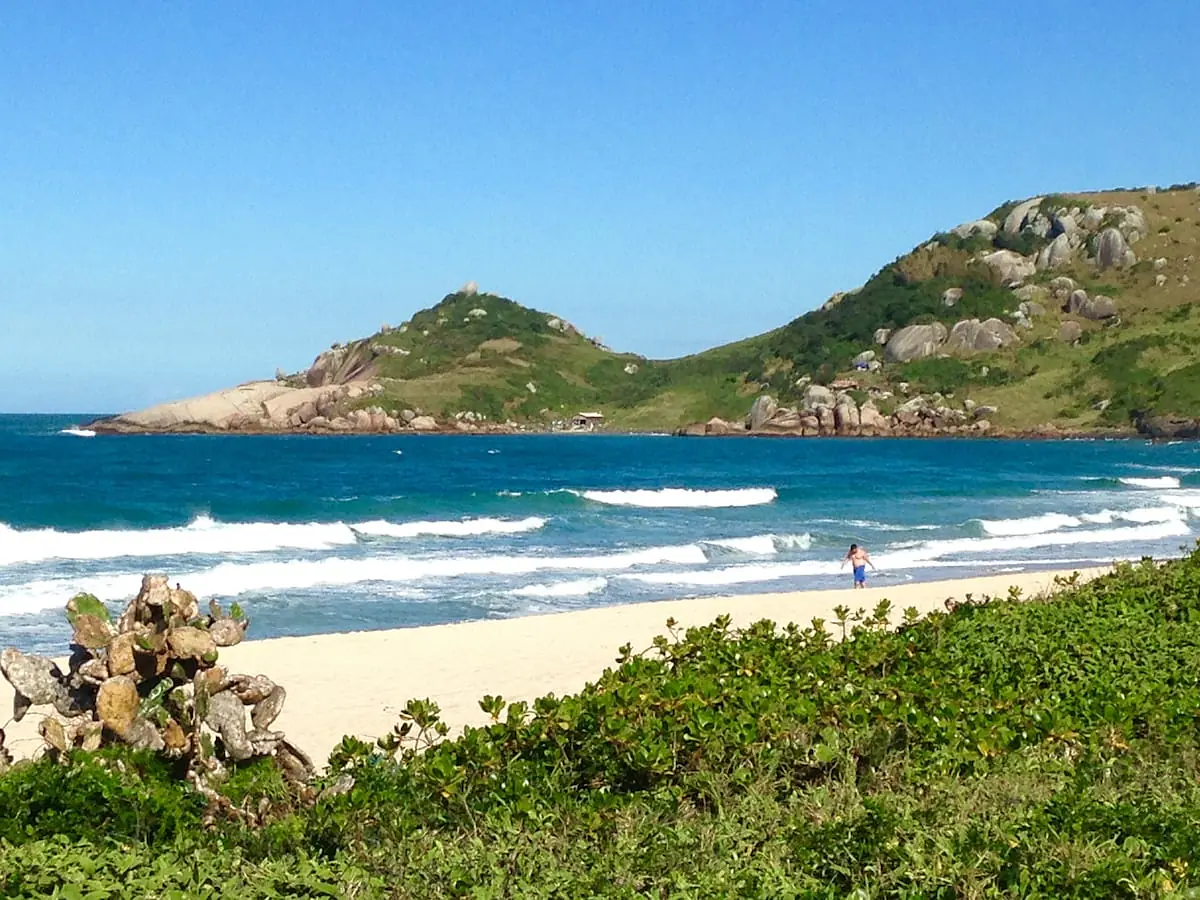 Little Surf Paradise 3 - 16