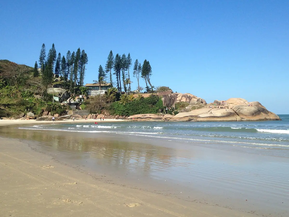 Little Surf Paradise 3 - 30