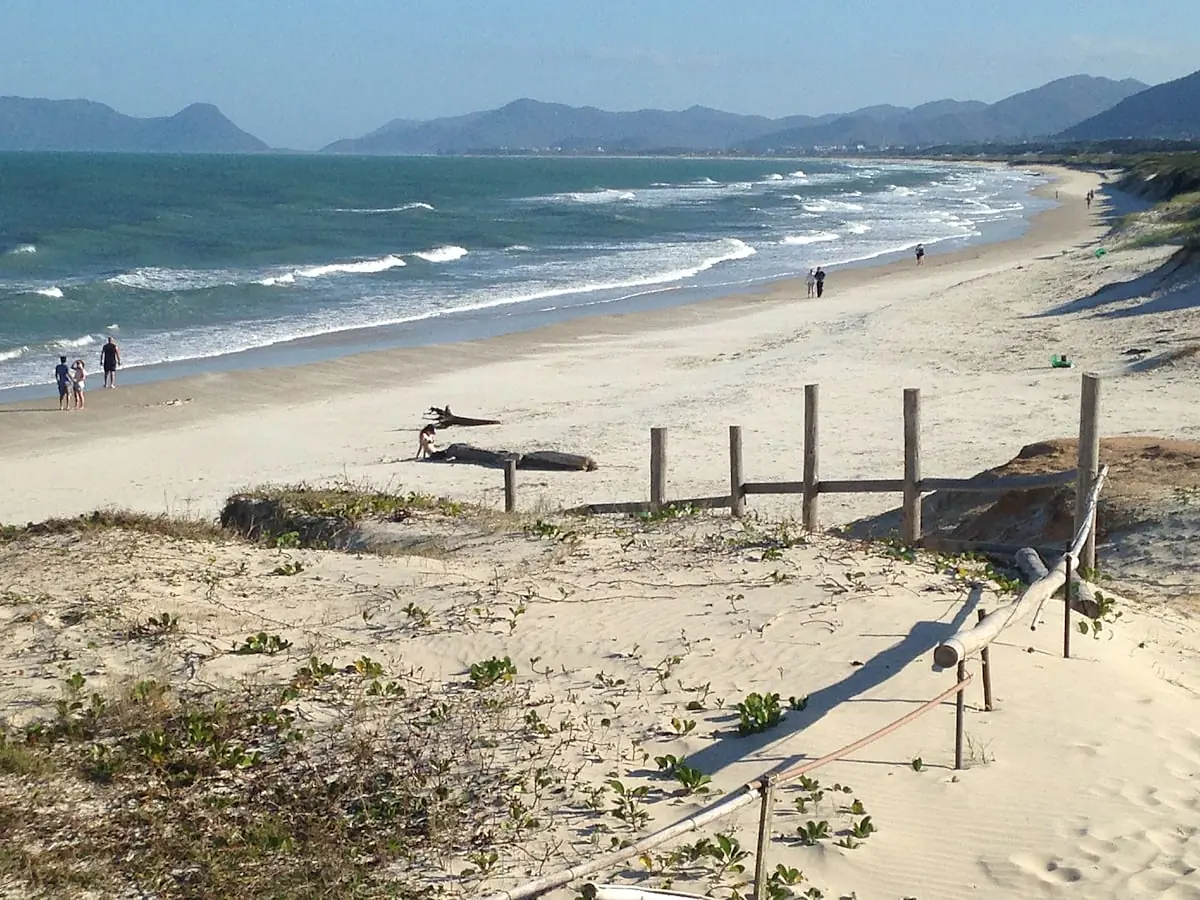 Little Surf Paradise 3 - 31