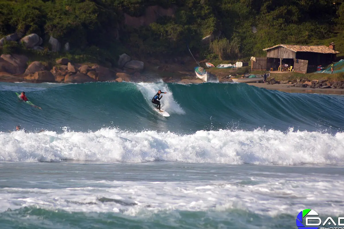 Little Surf Paradise 3 - 24