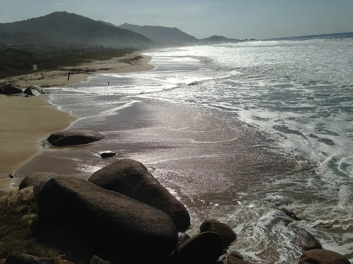 Little Surf Paradise 1 - 39