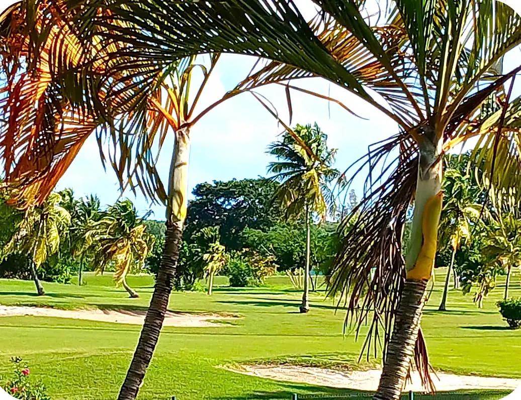 Duplex avec vue exceptionnelle sur La Marina & le Golf de Saint-François - 19