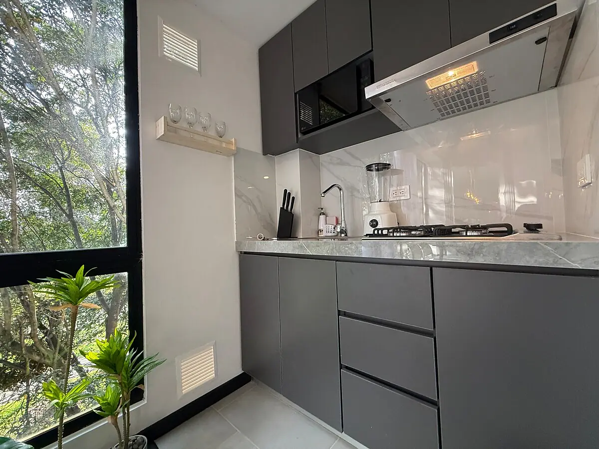 Botanical Garden Apartment S3 - 10