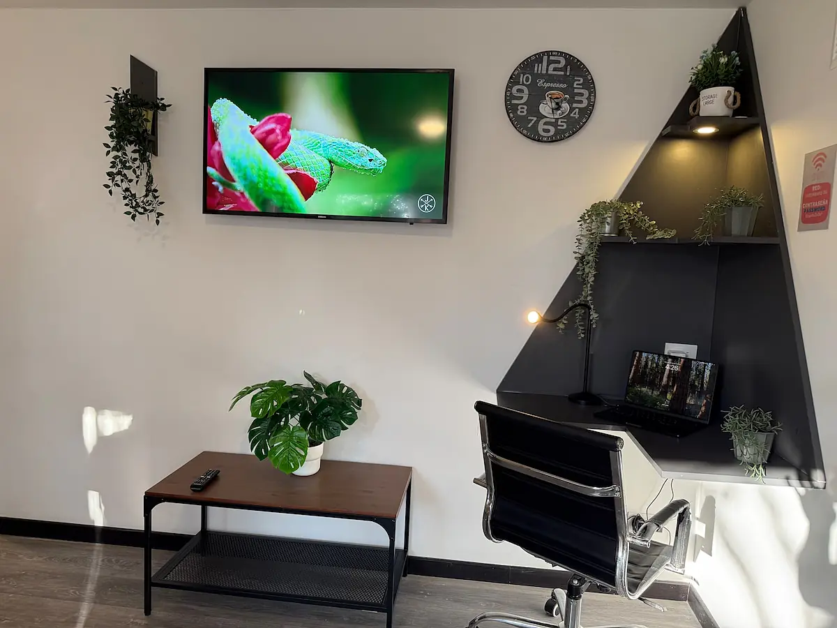 Botanical Garden Apartment S3 - 3