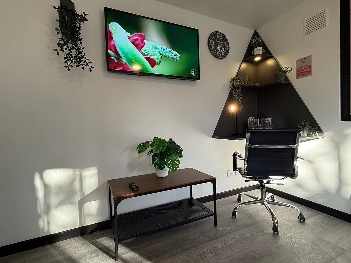 Botanical Garden Apartment S3 - 28