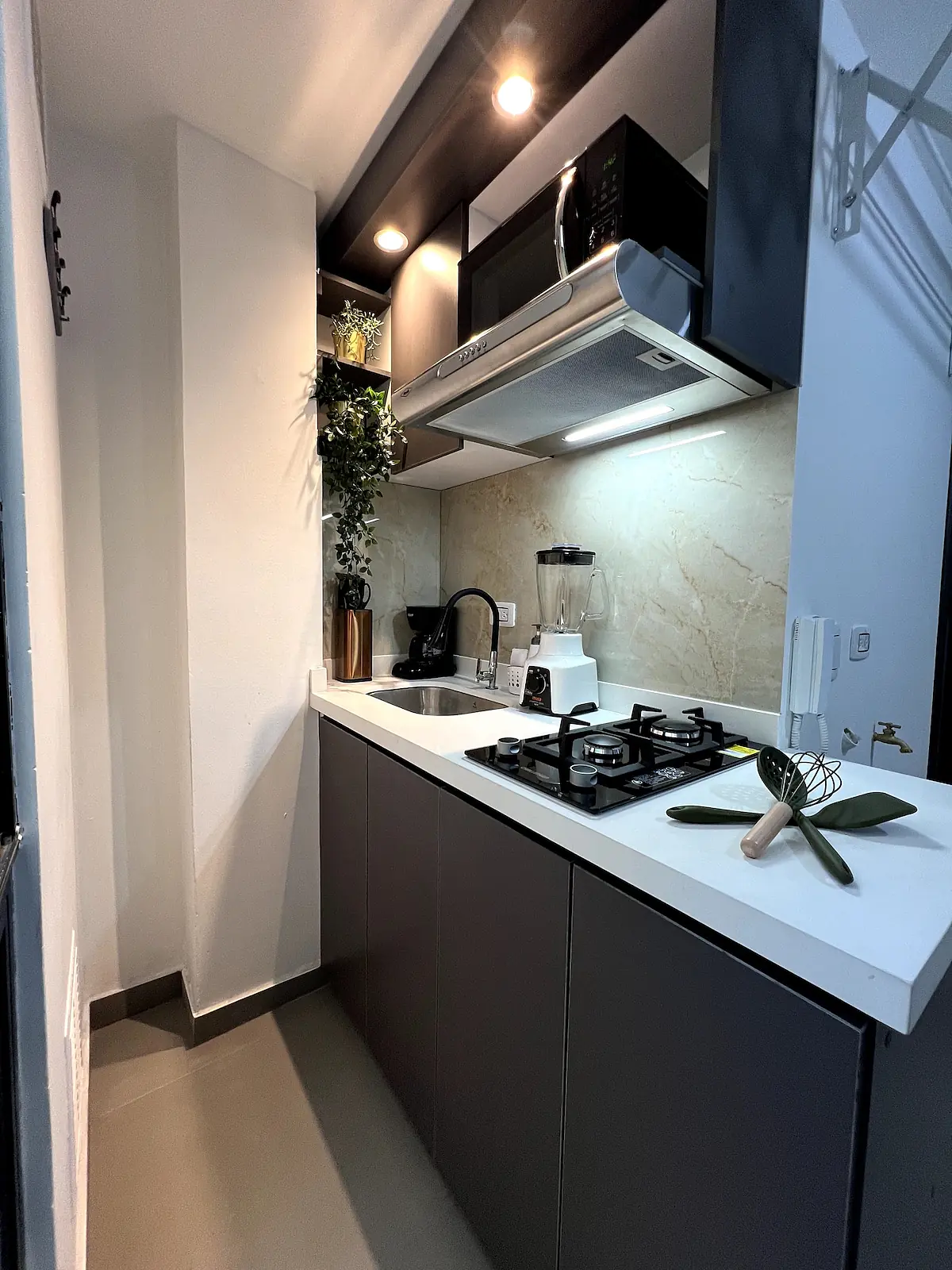 Botanical Garden Apartment I - 11