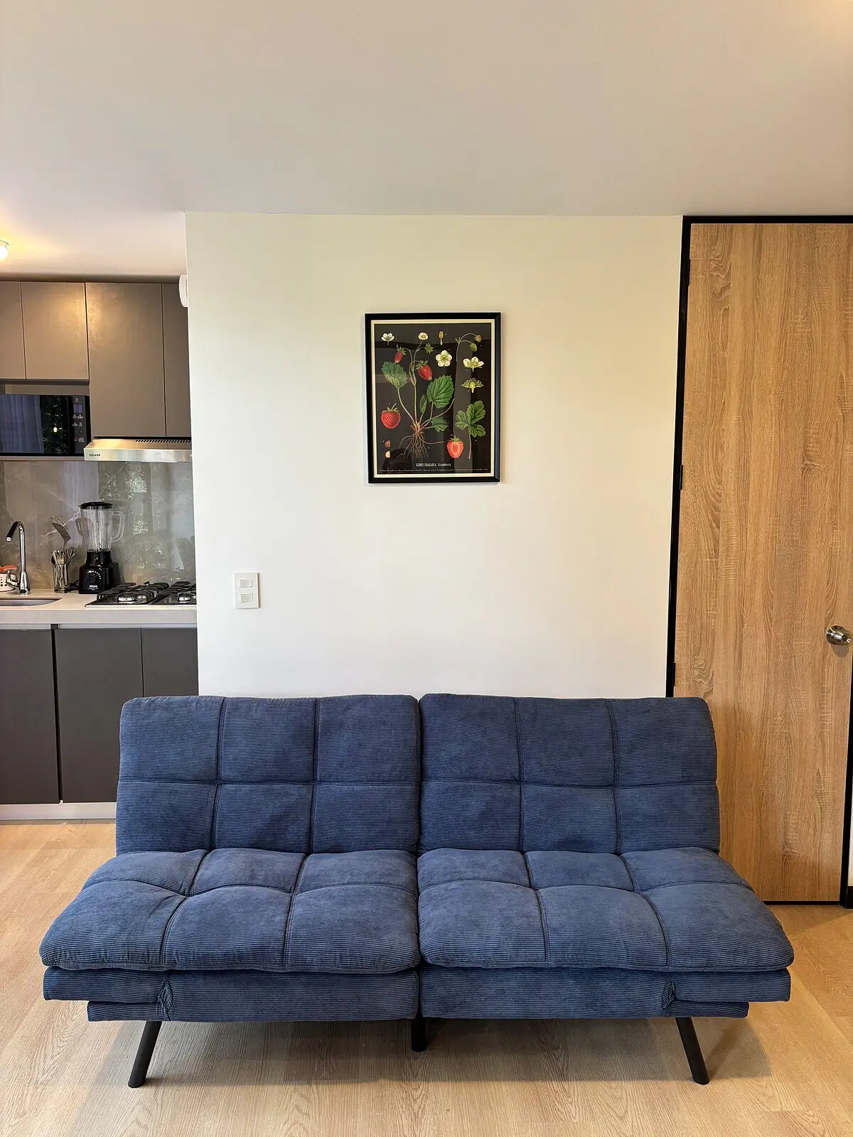 Botanical Garden Apartment S2 - 3